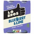 Blueberry & Lime (4 x 250ml)